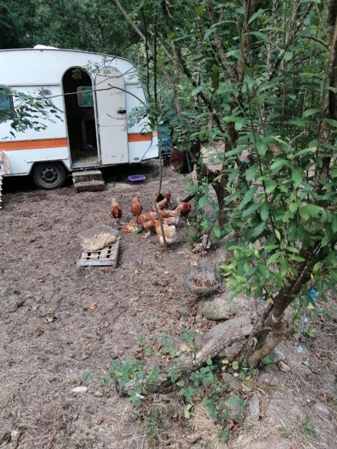 Les Roches Chambre D'Hotes Servant Dış mekan fotoğraf
